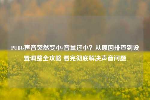 PUBG声音突然变小/音量过小？从原因排查到设置调整全攻略 看完彻底解决声音问题
