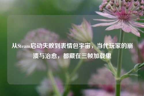 从Steam启动失败到表情包宇宙,当代玩家的崩溃与治愈,都藏在三帧加载里