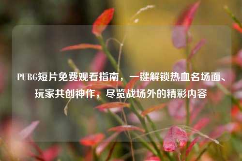PUBG短片免费观看指南,一键解锁热血名场面、玩家共创神作,尽览战场外的精彩内容