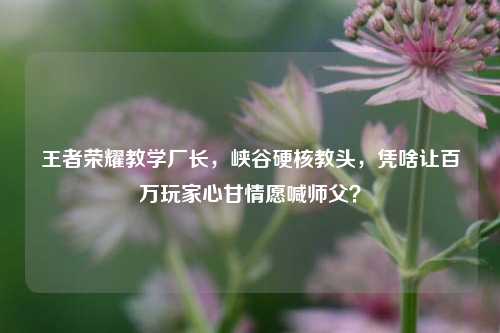 王者荣耀教学厂长,峡谷硬核教头,凭啥让百万玩家心甘情愿喊师父?