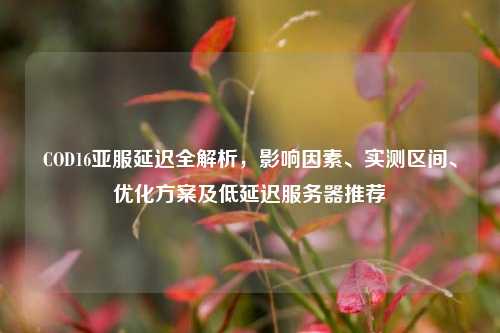 COD16亚服延迟全解析,影响因素、实测区间、优化方案及低延迟服务器推荐