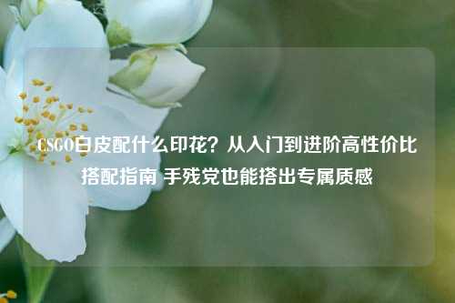 CSGO白皮配什么印花?从入门到进阶高性价比搭配指南 手残党也能搭出专属质感