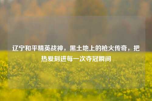 辽宁和平精英战神,黑土地上的枪火传奇,把热爱刻进每一次夺冠瞬间