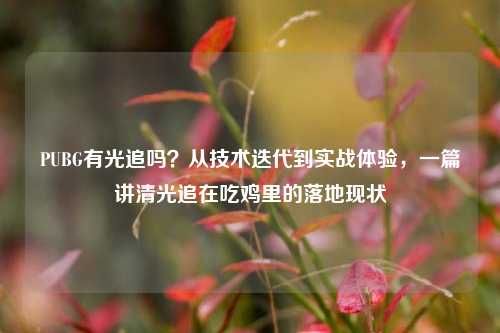 PUBG有光追吗?从技术迭代到实战体验,一篇讲清光追在吃鸡里的落地现状