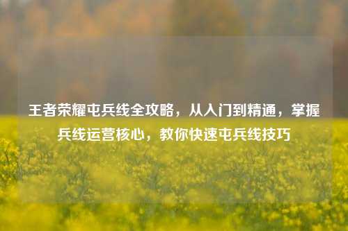 王者荣耀屯兵线全攻略，从入门到精通，掌握兵线运营核心，教你快速屯兵线技巧