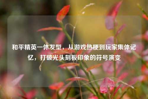 和平精英一休发型,从游戏热梗到玩家集体记忆,打破光头刻板印象的符号演变