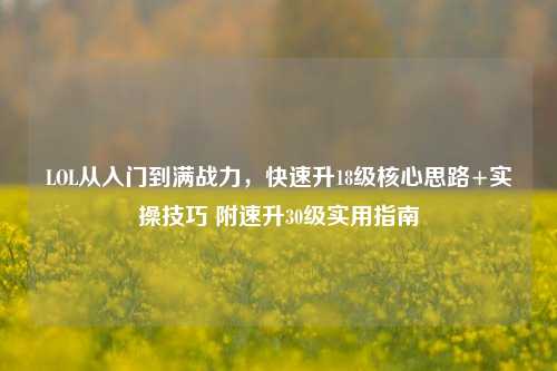 LOL从入门到满战力,快速升18级核心思路+实操技巧 附速升30级实用指南