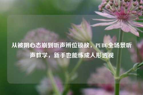从被阴心态崩到听声辨位锁敌,PUBG全场景听声教学,新手也能练成人形透视