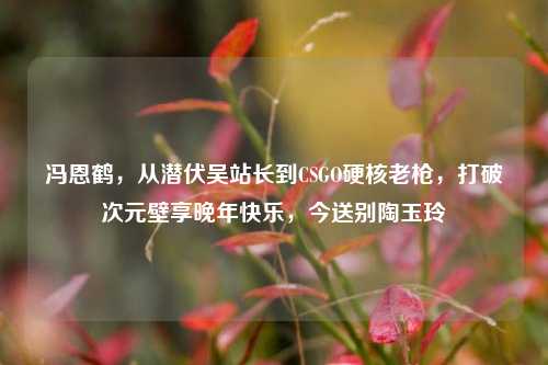 冯恩鹤,从潜伏吴站长到CSGO硬核老枪,打破次元壁享晚年快乐,今送别陶玉玲