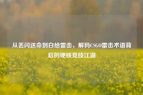 从丢闪送命到白给雷击,解码CSGO雷击术语背后的硬核竞技江湖