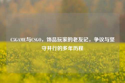 C5GAME与CSGO,饰品玩家的老友记,争议与坚守并行的多年历程