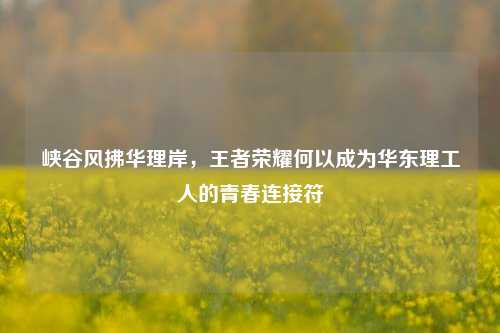 峡谷风拂华理岸,王者荣耀何以成为华东理工人的青春连接符