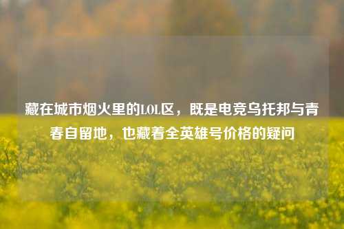 藏在城市烟火里的LOL区，既是电竞乌托邦与青春自留地，也藏着全英雄号价格的疑问