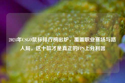 2024年CSGO鼠标排行榜出炉,覆盖职业赛场与路人局,这十款才是真正的FPS上分利器