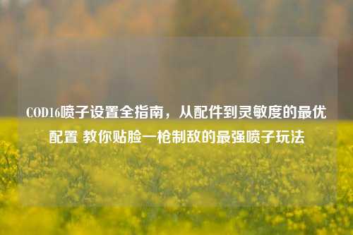 COD16喷子设置全指南,从配件到灵敏度的最优配置 教你贴脸一枪制敌的最强喷子玩法