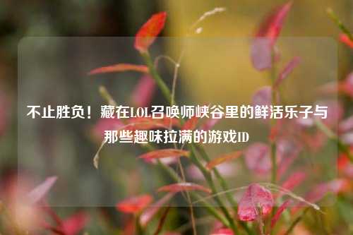 不止胜负!藏在LOL召唤师峡谷里的鲜活乐子与那些趣味拉满的游戏ID