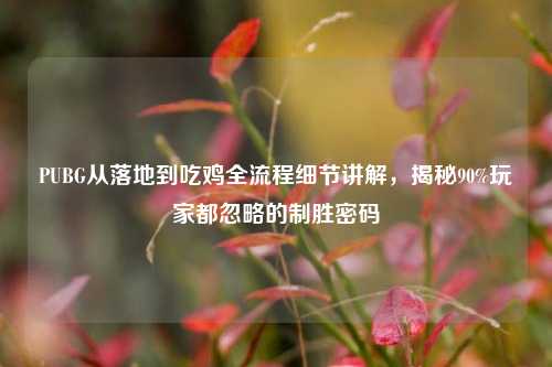 PUBG从落地到吃鸡全流程细节讲解,揭秘90%玩家都忽略的制胜密码