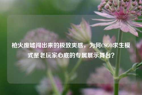 枪火废墟闯出来的极致爽感,为何CSGO求生模式是老玩家心底的专属展示舞台?
