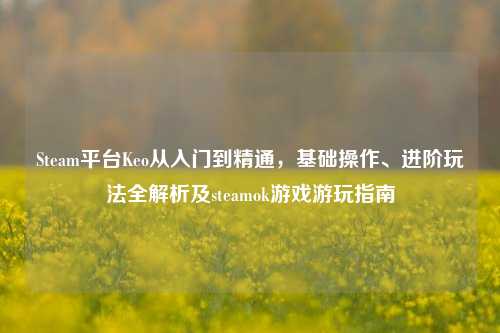 Steam平台Keo从入门到精通,基础操作、进阶玩法全解析及steamok游戏游玩指南