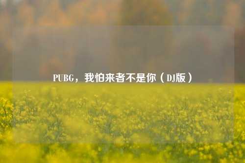 PUBG,我怕来者不是你(DJ版)