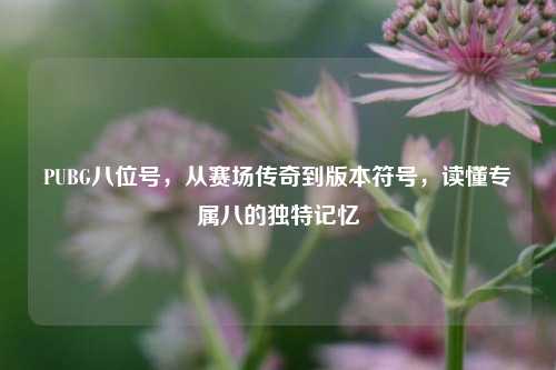 PUBG八位号，从赛场传奇到版本符号，读懂专属八的独特记忆