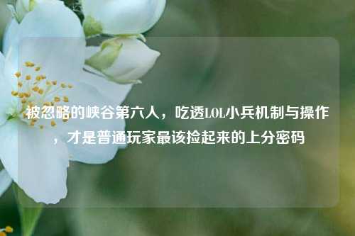 被忽略的峡谷第六人,吃透LOL小兵机制与操作,才是普通玩家最该捡起来的上分密码