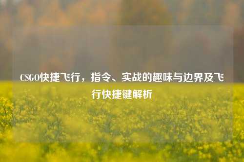 CSGO快捷飞行，指令、实战的趣味与边界及飞行快捷键解析