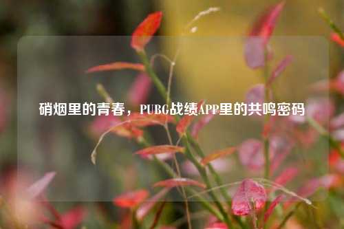 硝烟里的青春,PUBG战绩APP里的共鸣密码