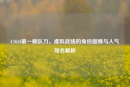 CSGO第一梯队刀,虚拟战场的身份图腾与人气排名解析