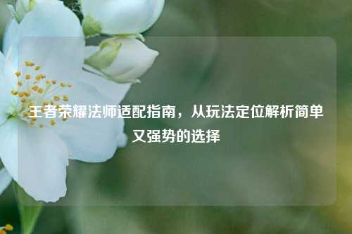 王者荣耀法师适配指南,从玩法定位解析简单又强势的选择