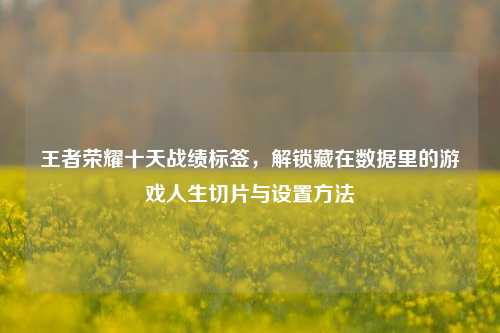 王者荣耀十天战绩标签，解锁藏在数据里的游戏人生切片与设置方法