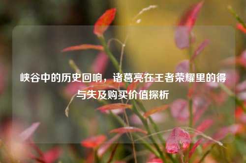 峡谷中的历史回响,诸葛亮在王者荣耀里的得与失及购买价值探析