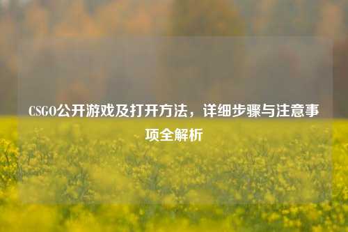 CSGO公开游戏及打开方法,详细步骤与注意事项全解析