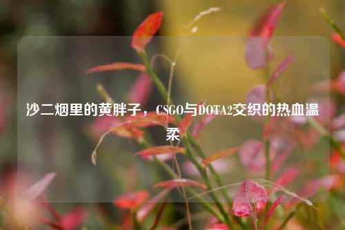 沙二烟里的黄胖子,CSGO与DOTA2交织的热血温柔