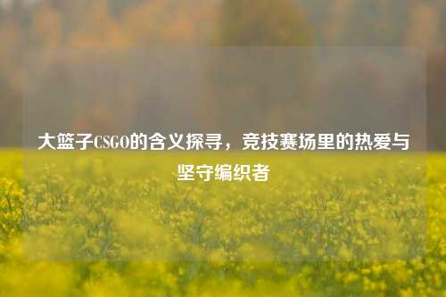 大篮子CSGO的含义探寻,竞技赛场里的热爱与坚守编织者
