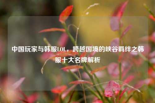 中国玩家与韩服LOL,跨越国境的峡谷羁绊之韩服十大名牌解析