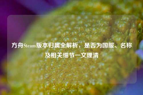 方舟Steam版本归属全解析,是否为国服、名称及相关细节一文理清