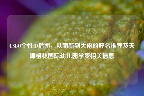 CSGO个性ID指南,从萌新到大佬的好名推荐及天津格林国际幼儿园学费相关信息
