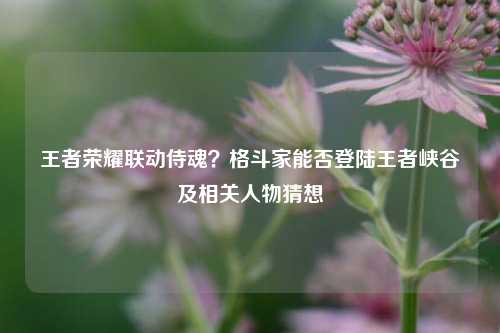 王者荣耀联动侍魂?格斗家能否登陆王者峡谷及相关人物猜想