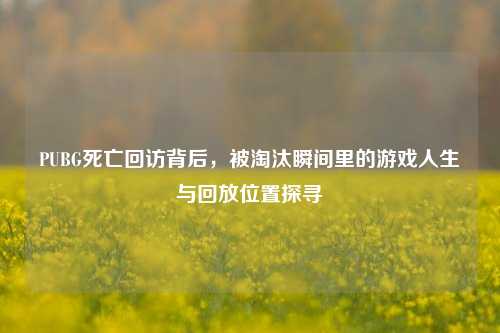 PUBG死亡回访背后,被淘汰瞬间里的游戏人生与回放位置探寻
