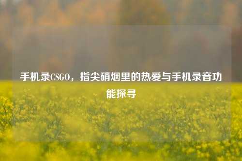 手机录CSGO,指尖硝烟里的热爱与手机录音功能探寻