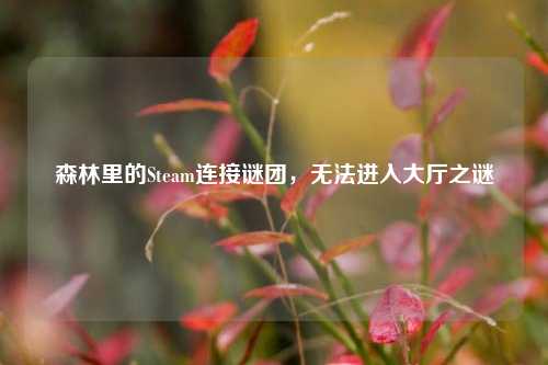 森林里的Steam连接谜团，无法进入大厅之谜