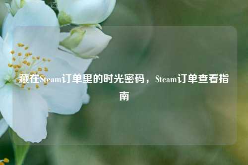 藏在Steam订单里的时光密码，Steam订单查看指南