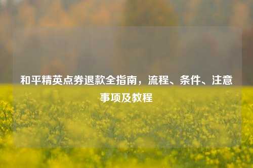 和平精英点券退款全指南,流程、条件、注意事项及教程