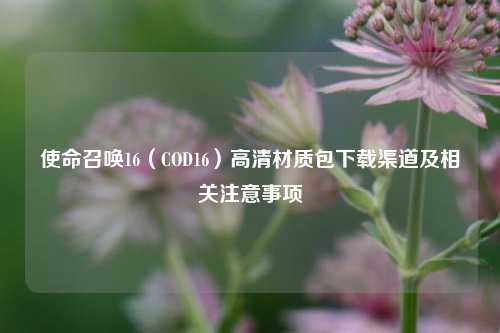 使命召唤16(COD16)高清材质包下载渠道及相关注意事项