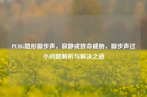 PUBG隐形脚步声,寂静成致命威胁,脚步声过小问题解析与解决之道