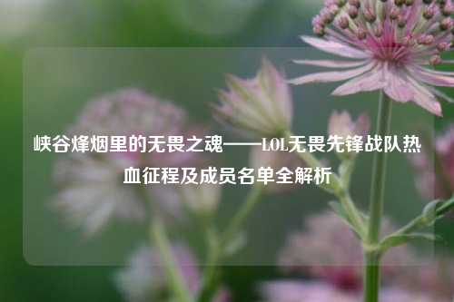 峡谷烽烟里的无畏之魂——LOL无畏先锋战队热血征程及成员名单全解析