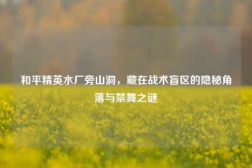 和平精英水厂旁山洞,藏在战术盲区的隐秘角落与禁舞之谜