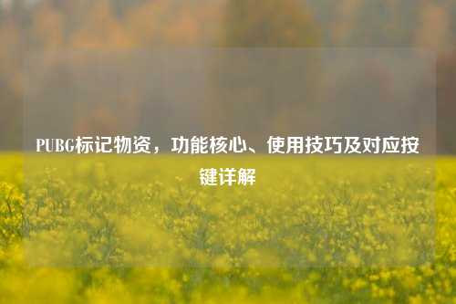 PUBG标记物资,功能核心、使用技巧及对应按键详解