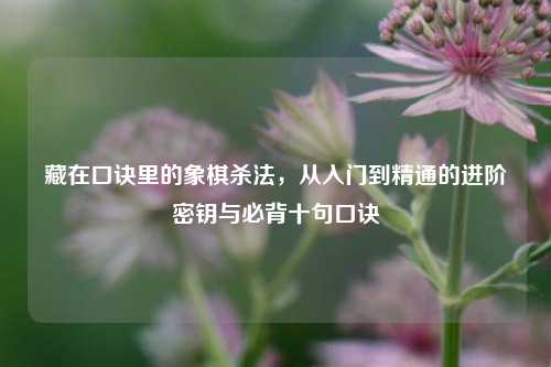 藏在口诀里的象棋杀法,从入门到精通的进阶密钥与必背十句口诀
